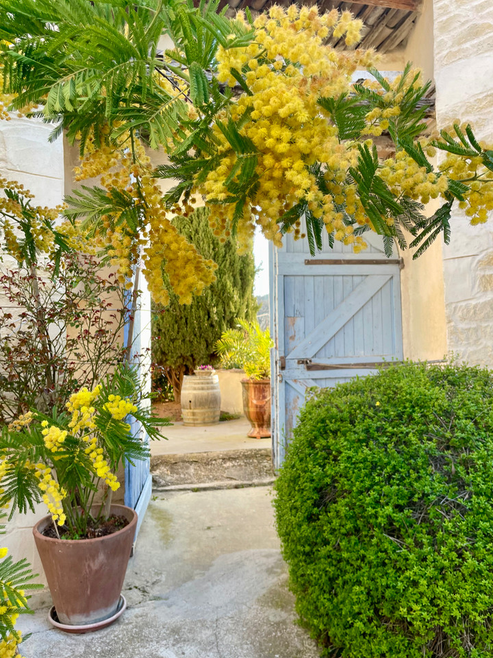 GreenGo Chambre d’hôtes Provence-Alpes-Côte d'Azur Évasion
