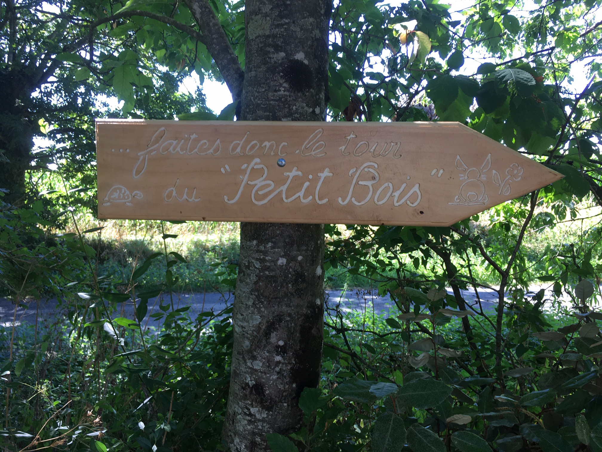 GreenGo location vacances écoresponsables