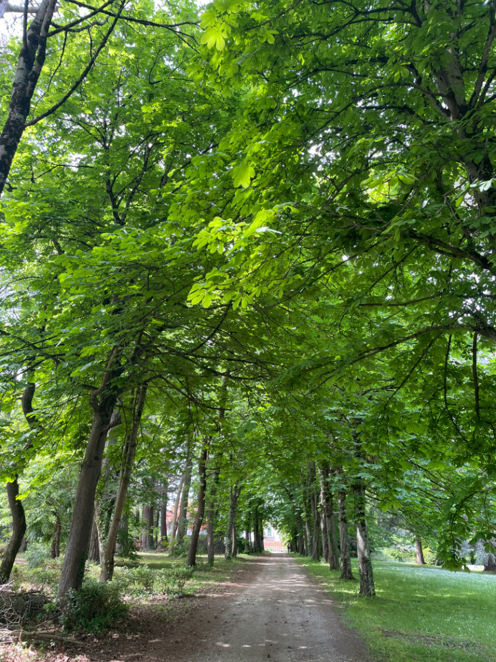 GreenGo location vacances écoresponsables