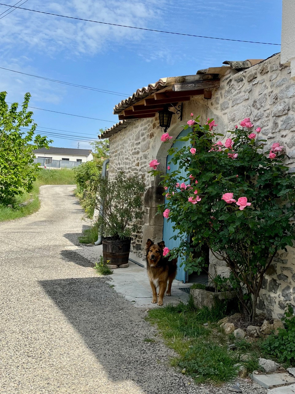 GreenGo location vacances écoresponsables
