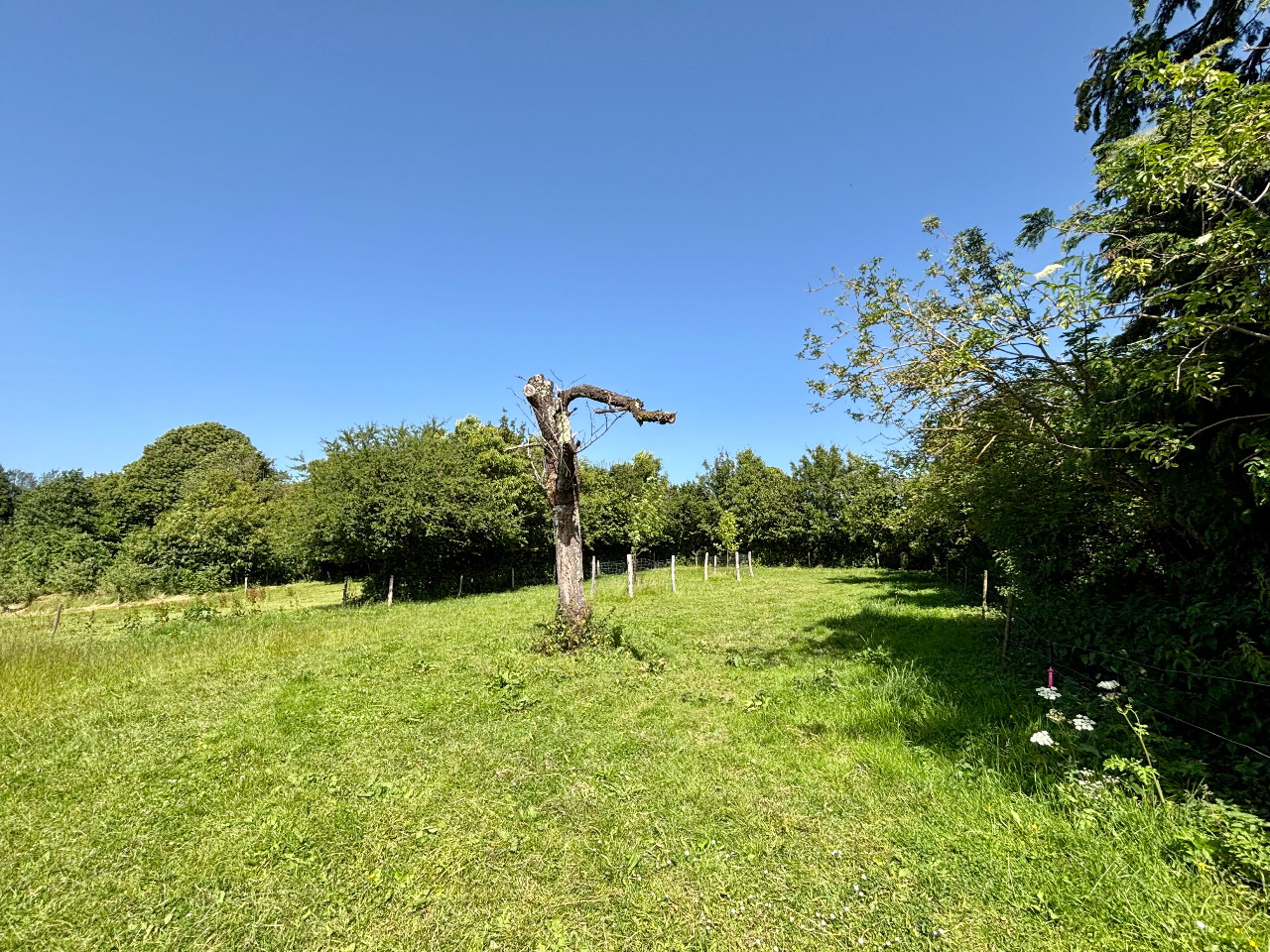 GreenGo location vacances écoresponsables