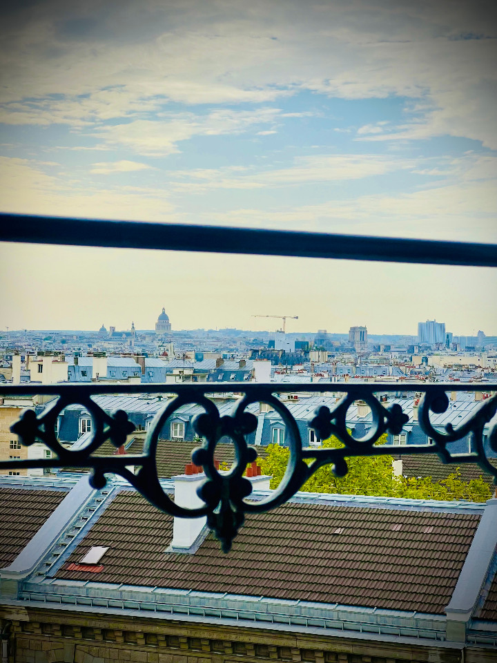 Hôte GreenGo: Vue époustouflante de Paris