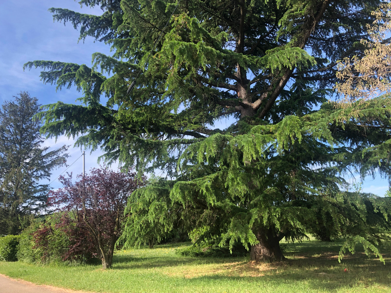 GreenGo Gîte Auvergne-Rhône-Alpes À la campagne