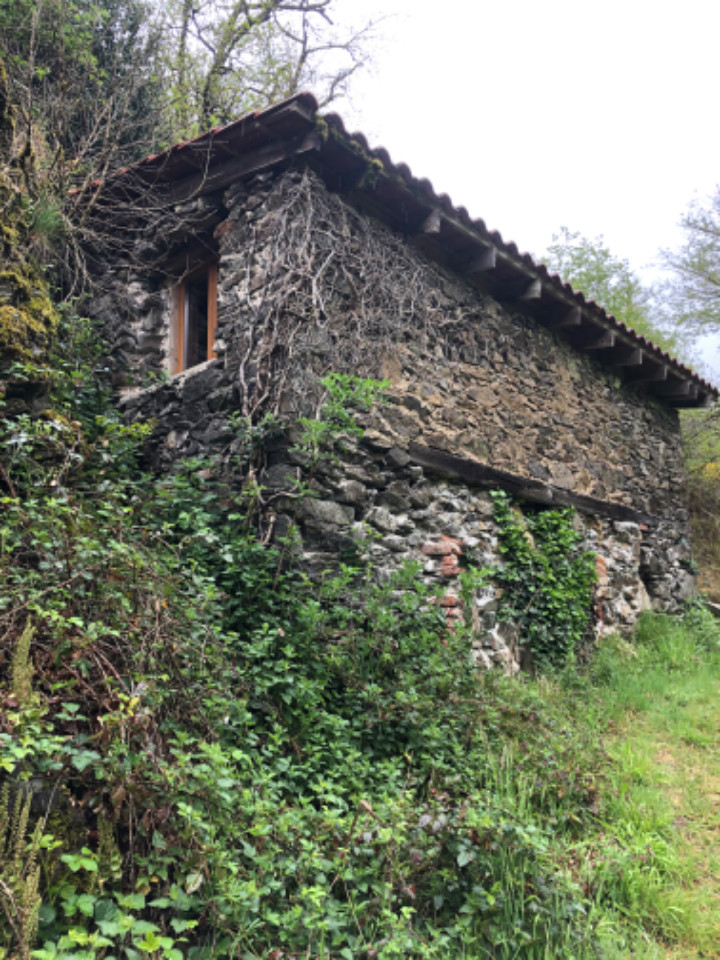 GreenGo Location Occitanie En forêt