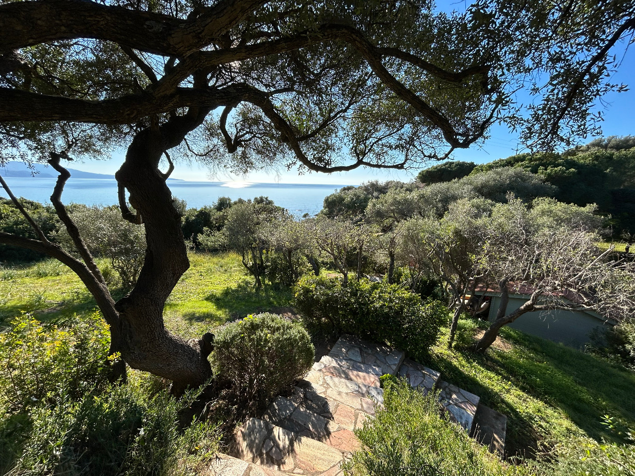 GreenGo Location Corse Évasion