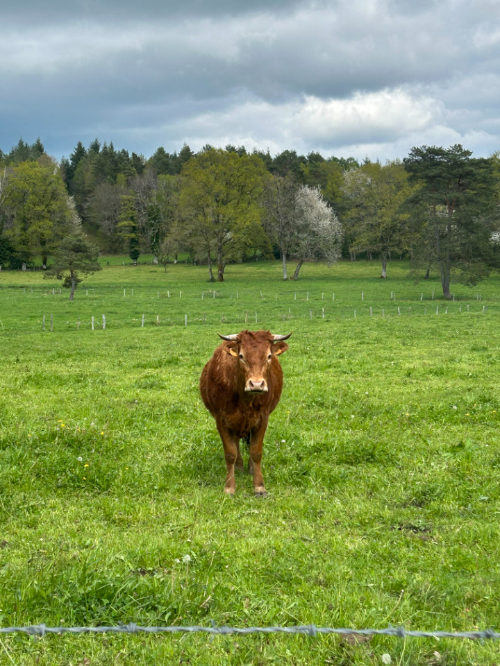 GreenGo location vacances écoresponsables