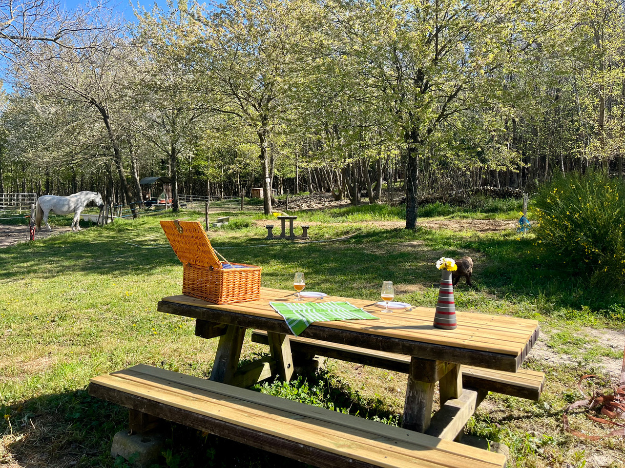 GreenGo location vacances écoresponsables