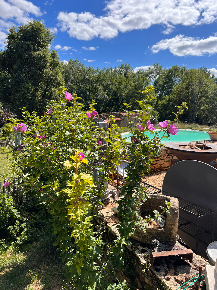 Hôte GreenGo: Camping Aire Naturelle du Domaine de Mombret Haut