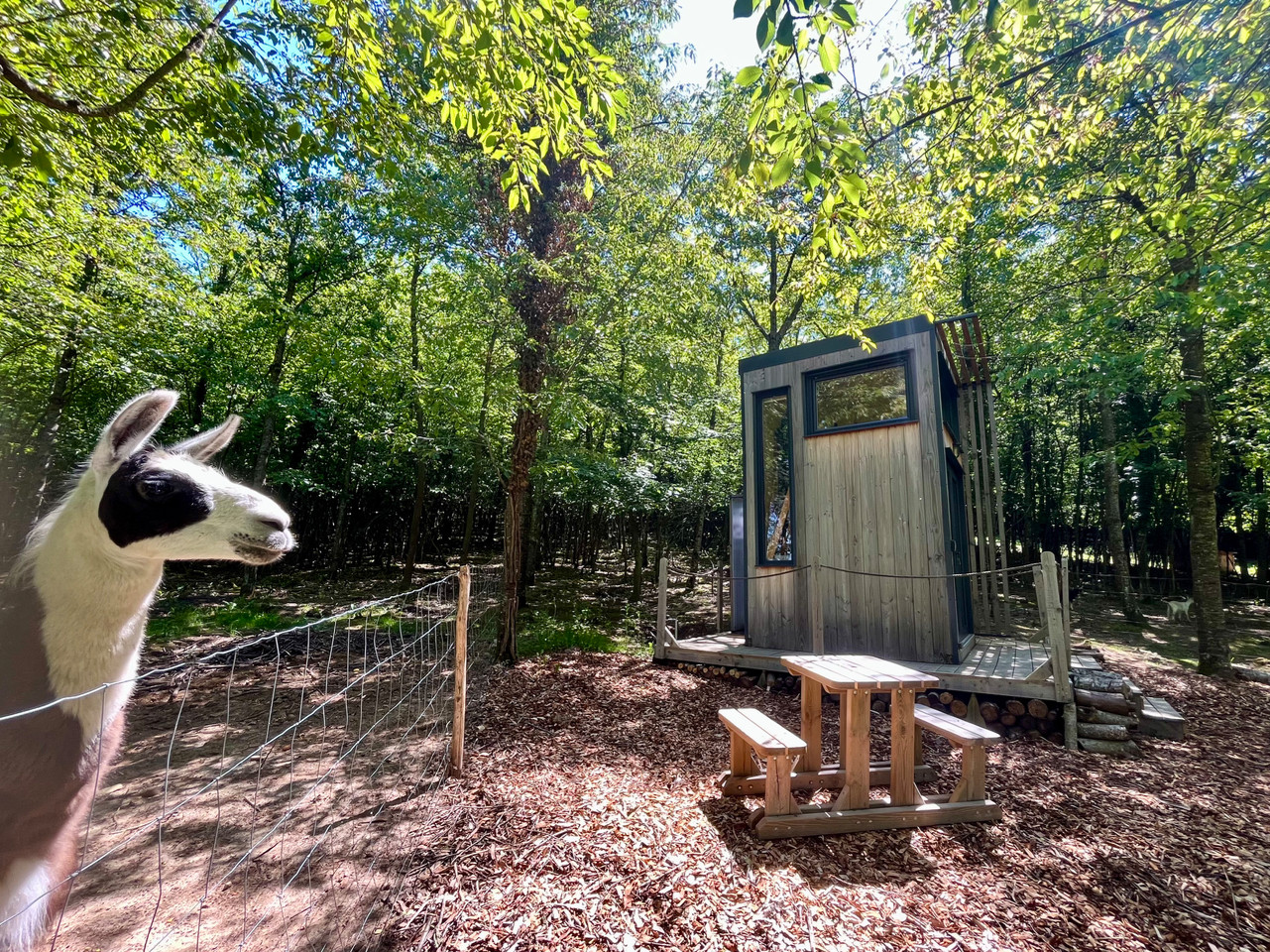 GreenGo Logement insolite Auvergne-Rhône-Alpes Glamping