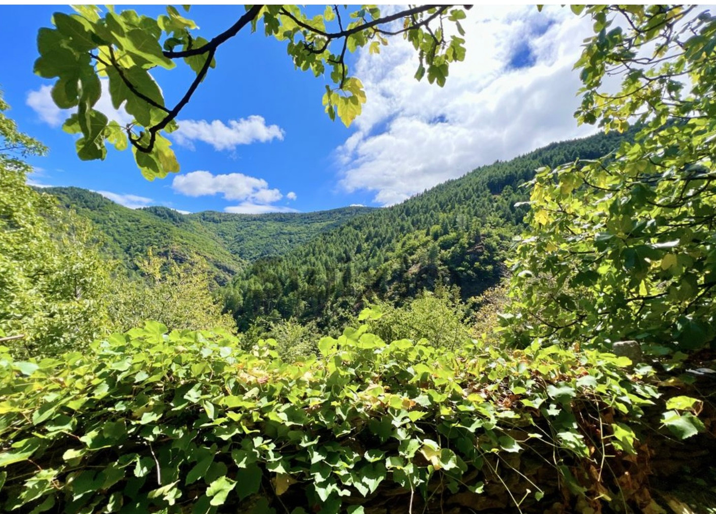 GreenGo Gîte Occitanie À la campagne