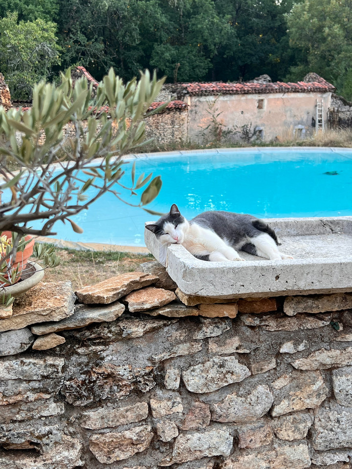 GreenGo location vacances écoresponsables