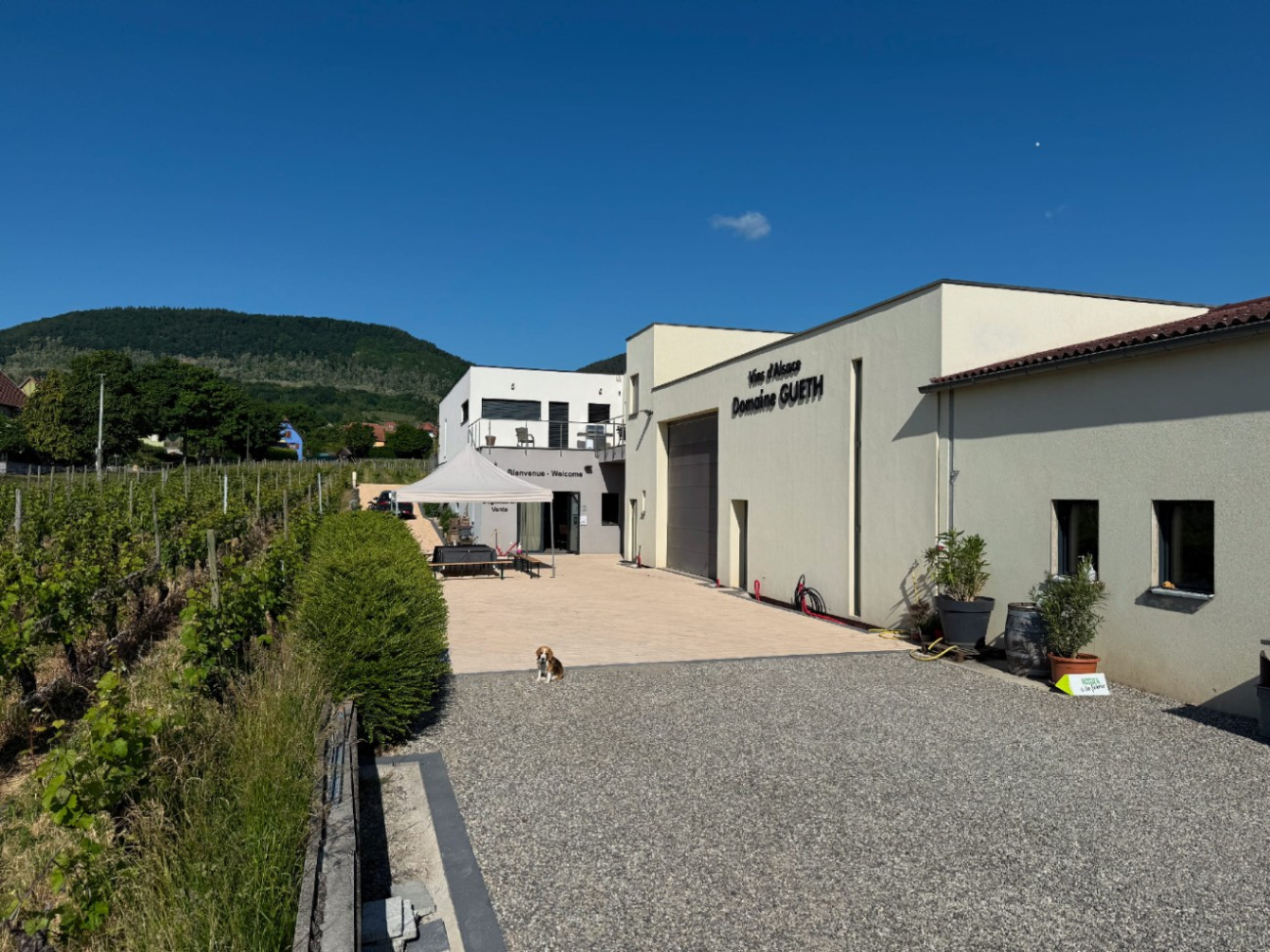 GreenGo Chambre d’hôtes Grand Est Évasion