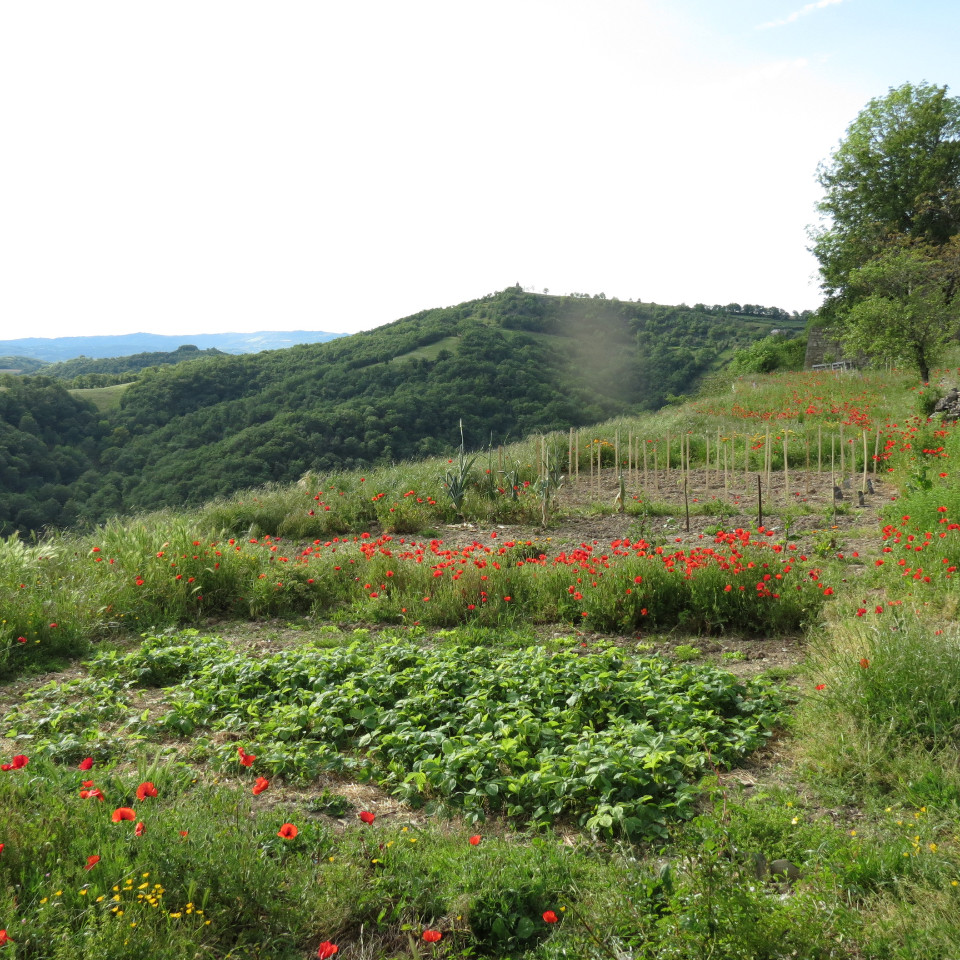 GreenGo Chambre d’hôtes Occitanie À la campagne