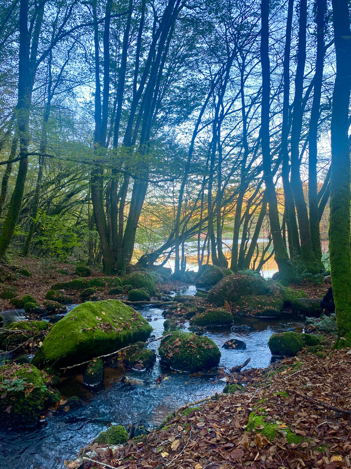 GreenGo location vacances écoresponsables