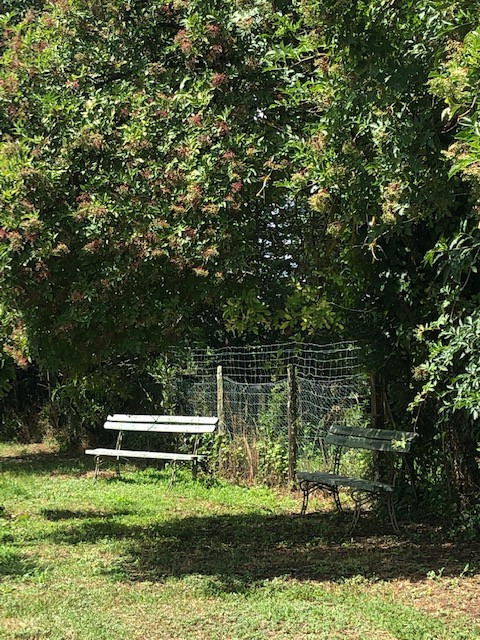 GreenGo Jardin d'Elisa