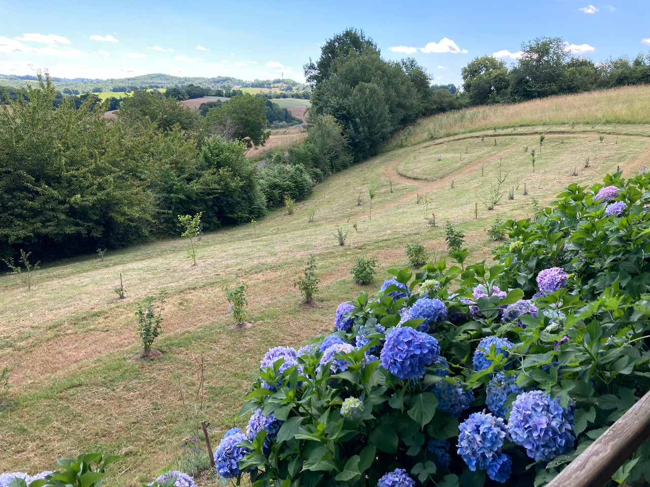 GreenGo Gîte Occitanie Évasion