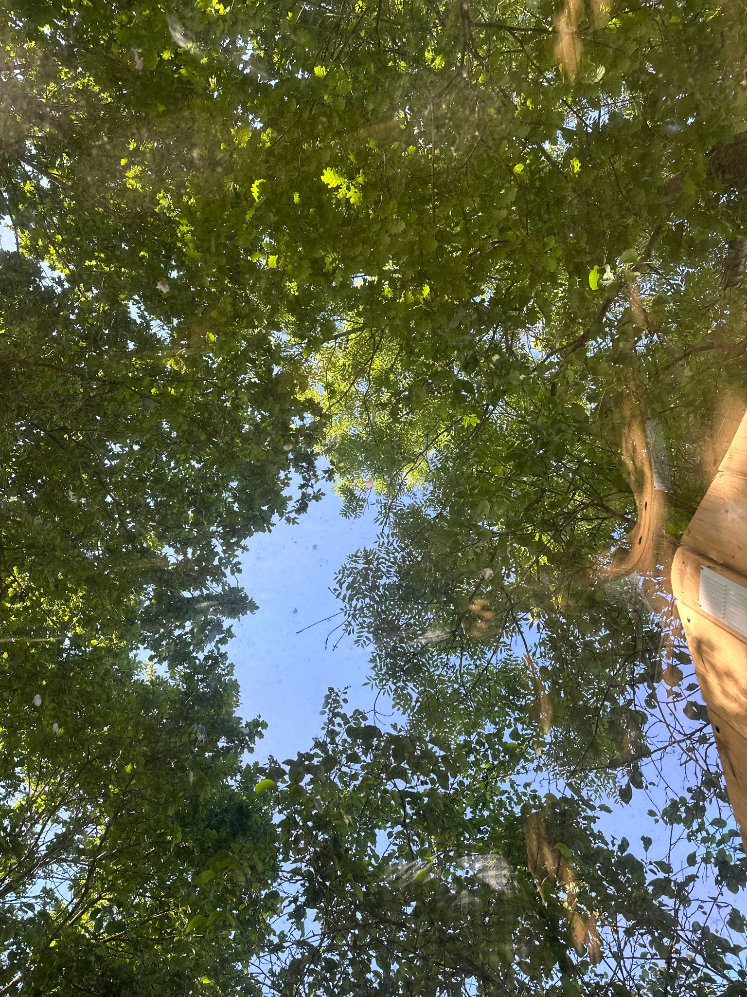 Camping Côtes-d'Armor En forêt