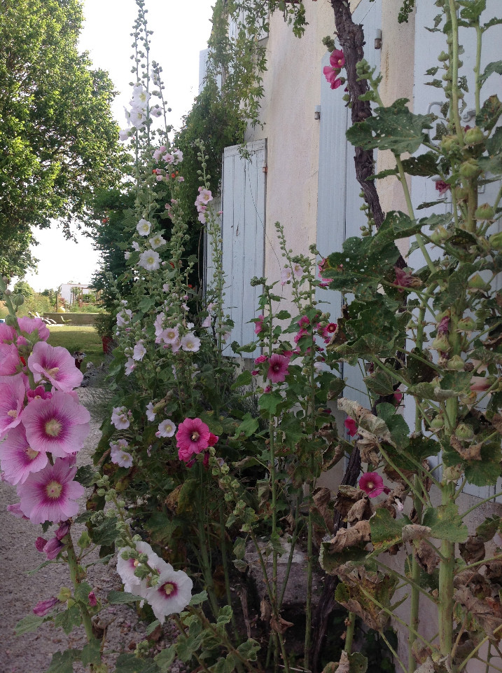 GreenGo Chambre d’hôtes Nouvelle-Aquitaine Bien-être