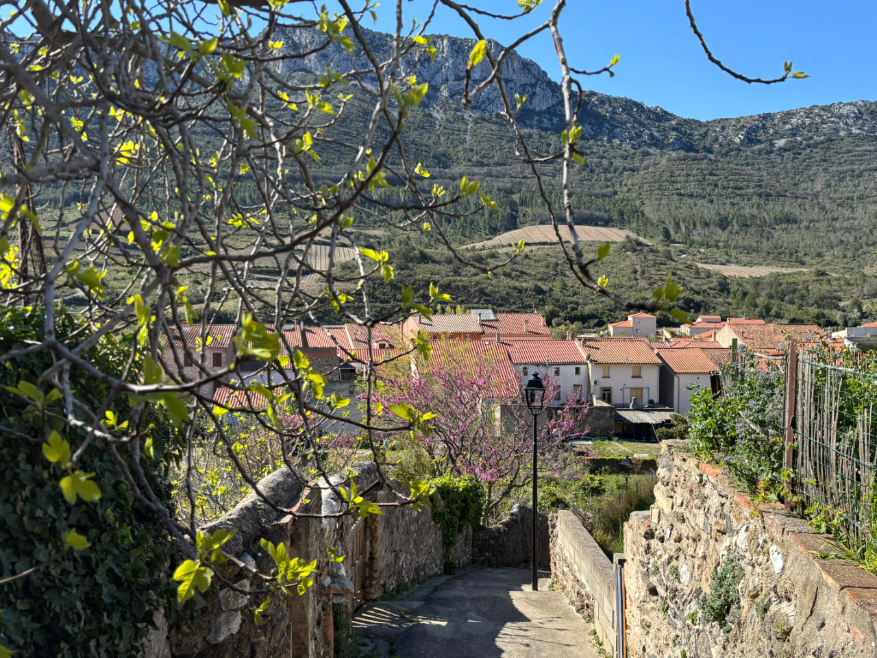 GreenGo location vacances écoresponsables
