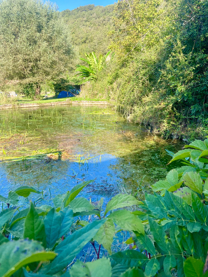 GreenGo location vacances écoresponsables