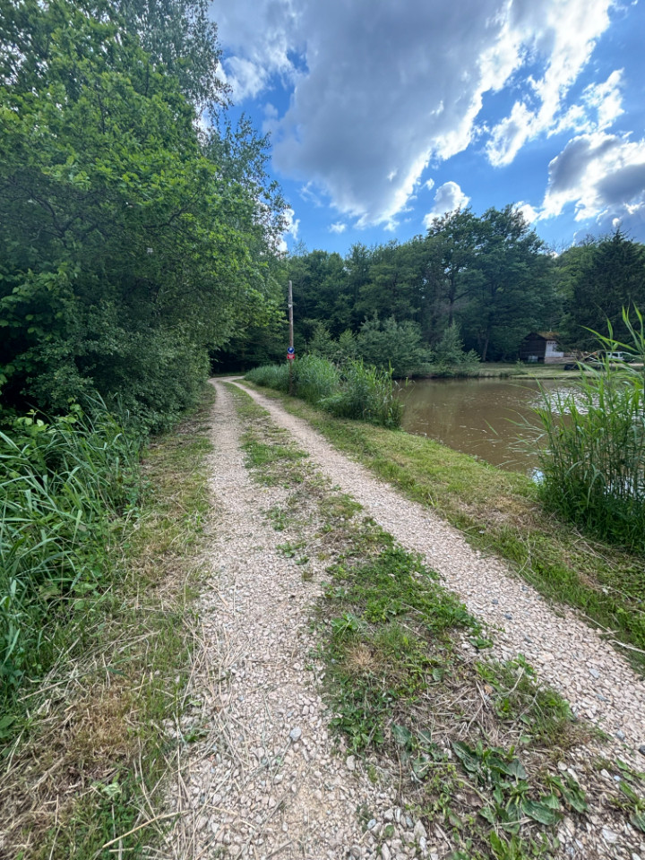 Territoire de Belfort En forêt
