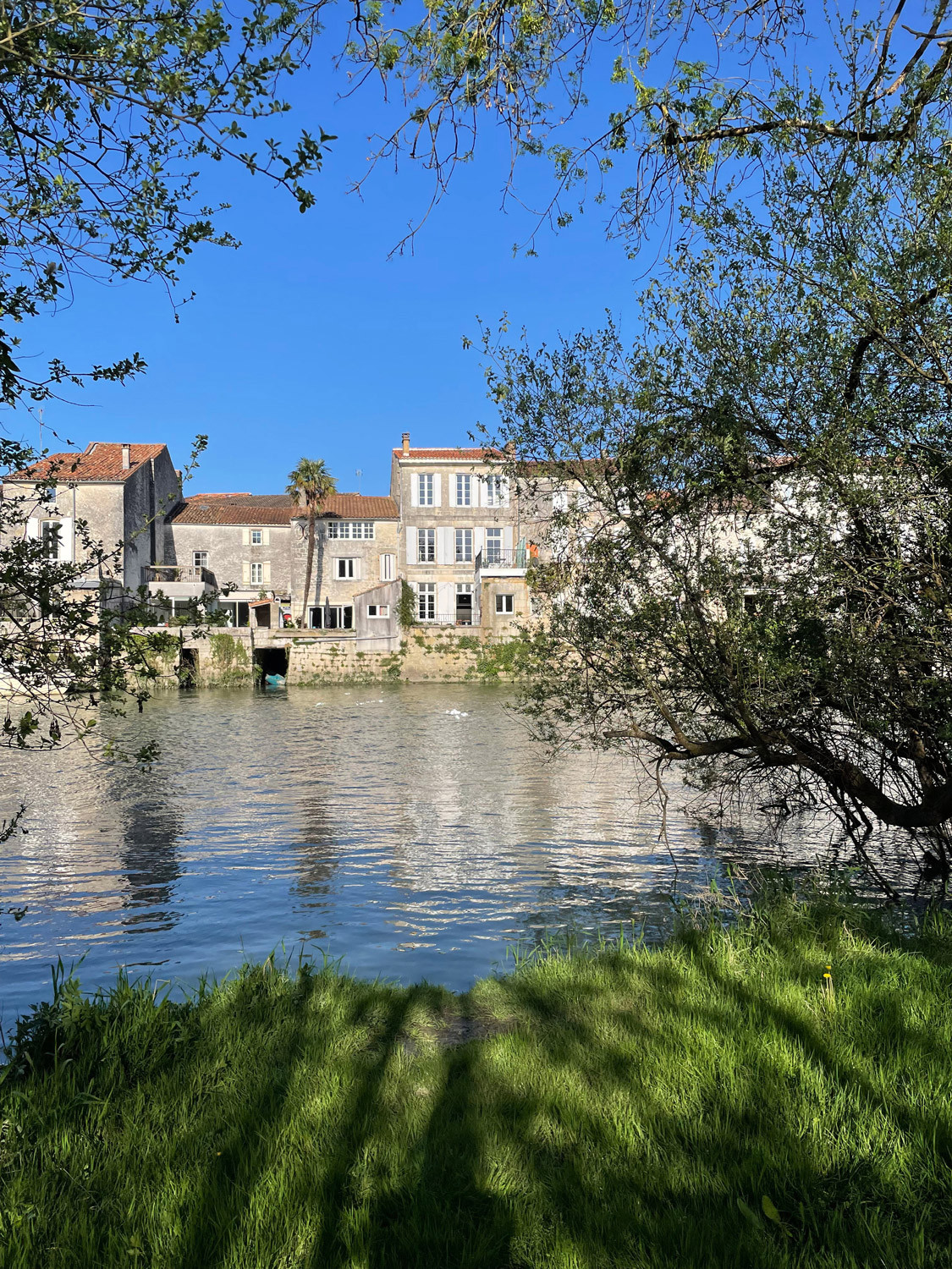 Gîte la Bergeronnette-sur-Charente