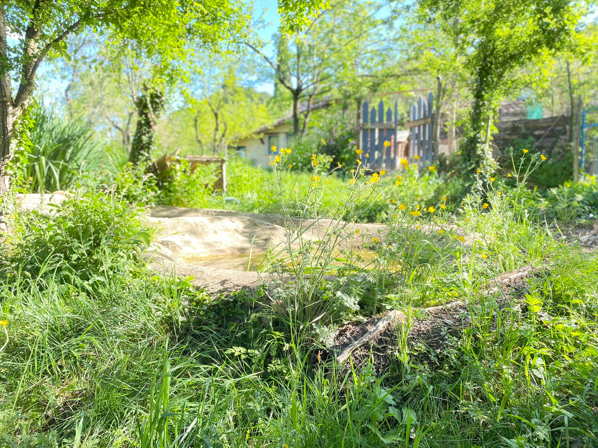 GreenGo Gîte Auvergne-Rhône-Alpes Glamping