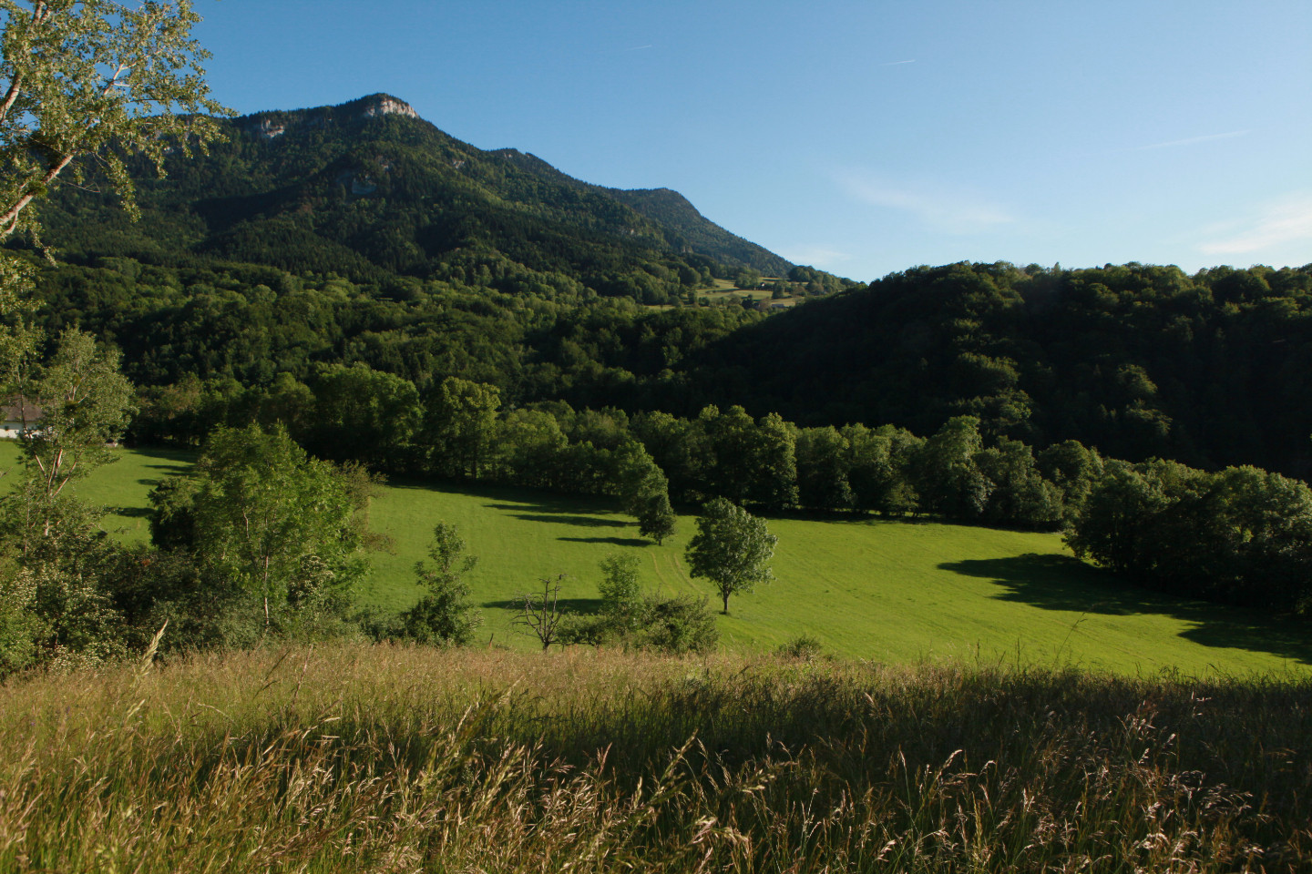 GreenGo location vacances écoresponsables