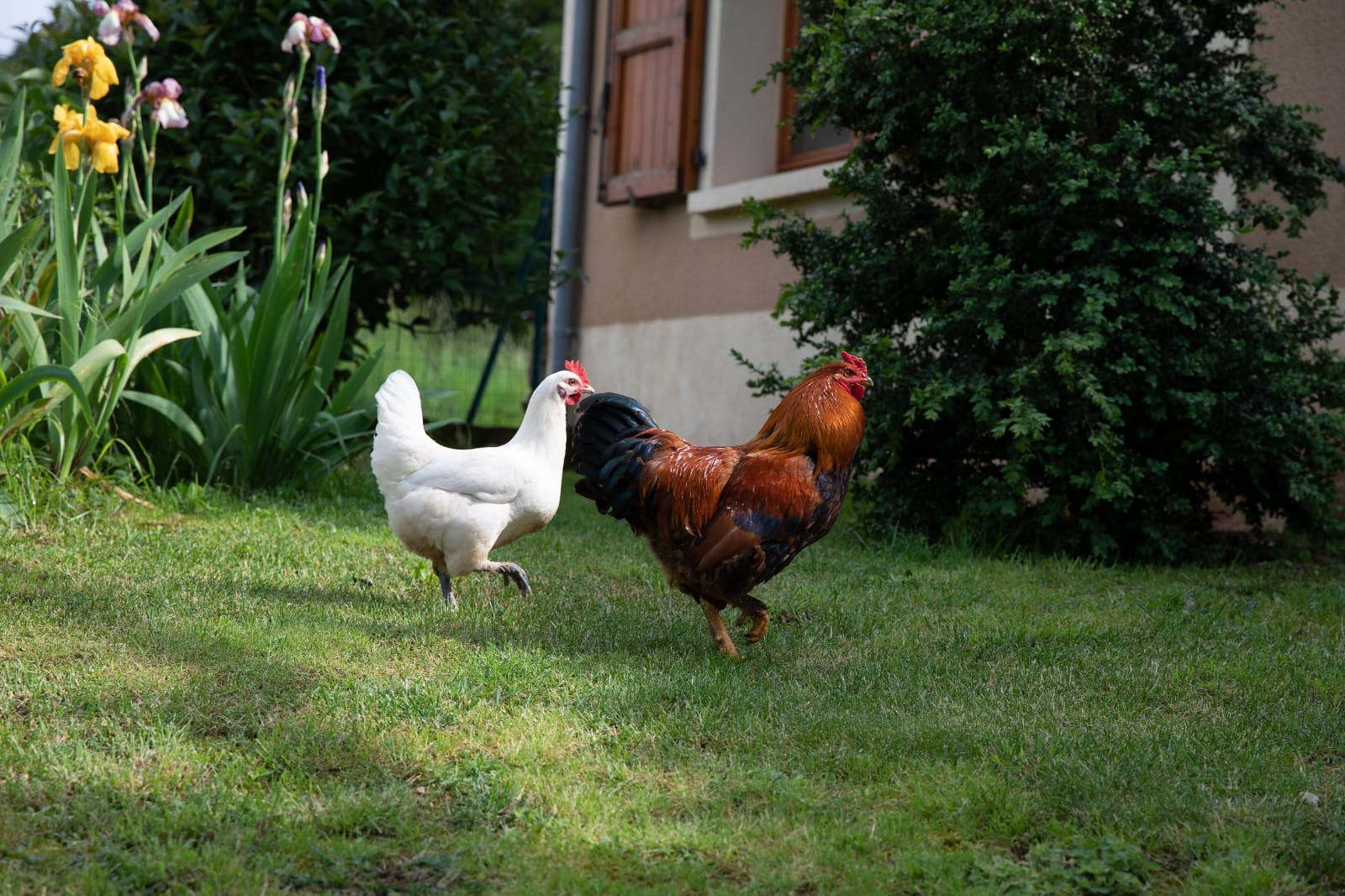 GreenGo location vacances écoresponsables
