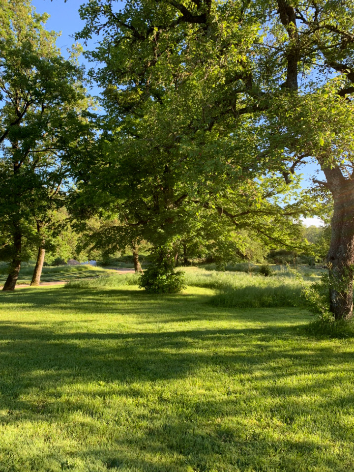 Indre-et-Loire Musique
