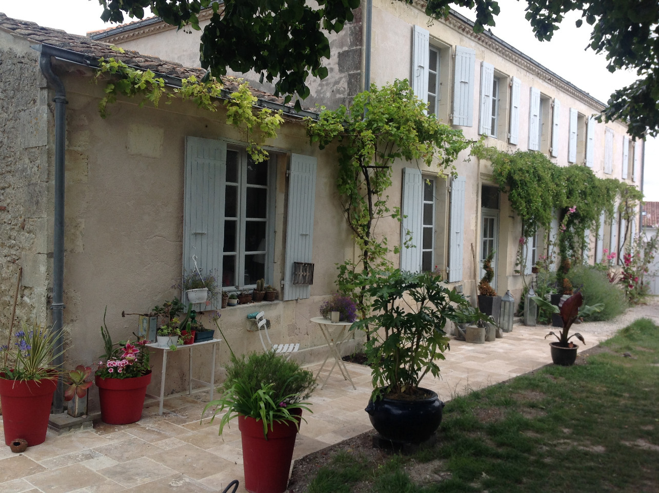 GreenGo location vacances écoresponsables