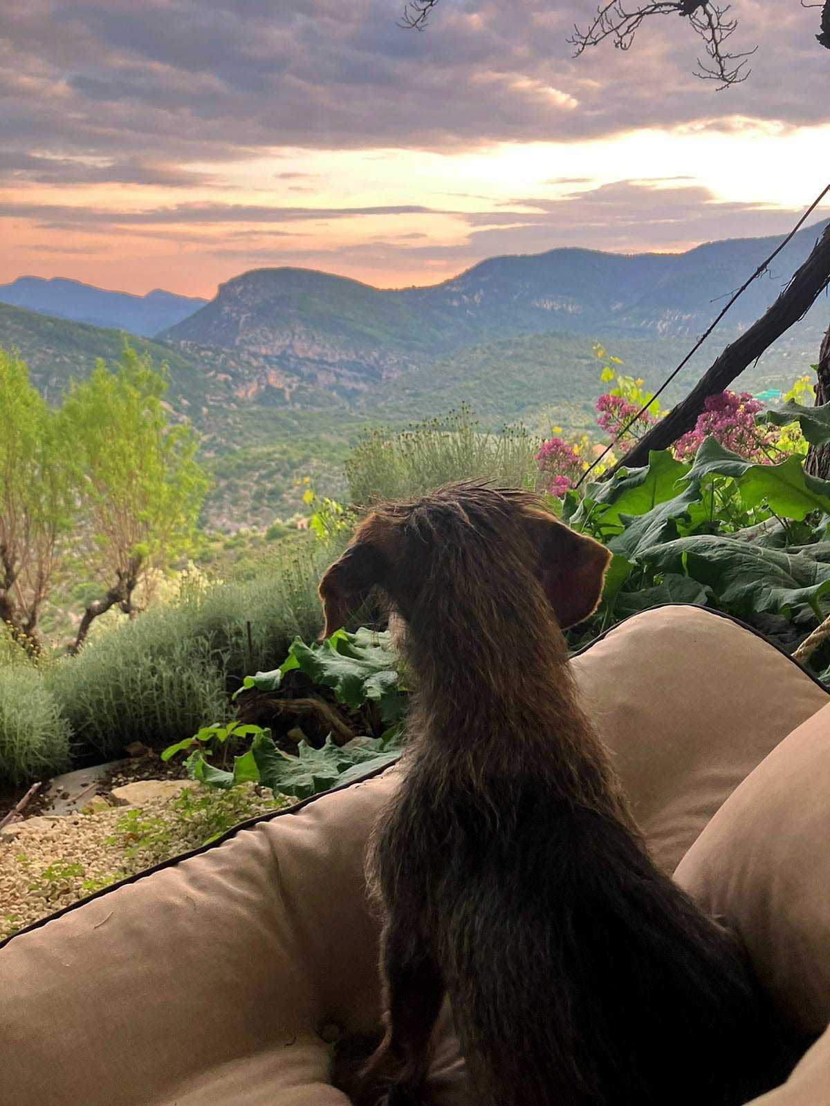 GreenGo Domaine d’Oros