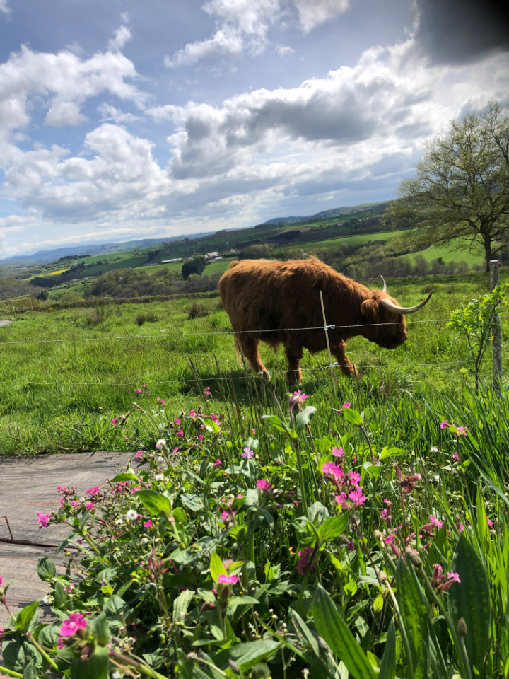 Puy-de-Dôme À la campagne