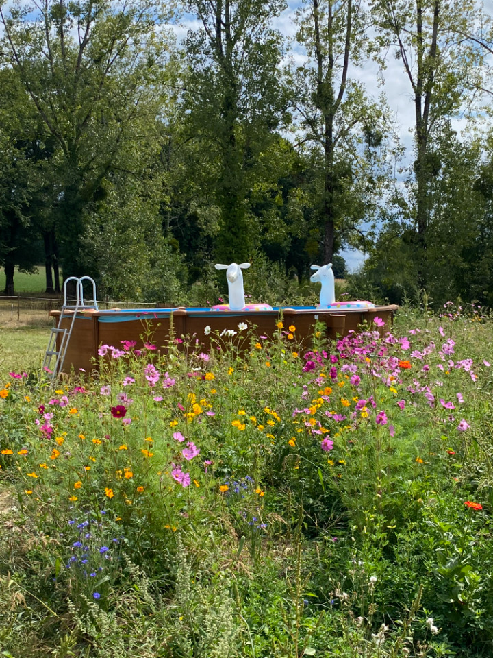 Écovillage Dordogne Glamping