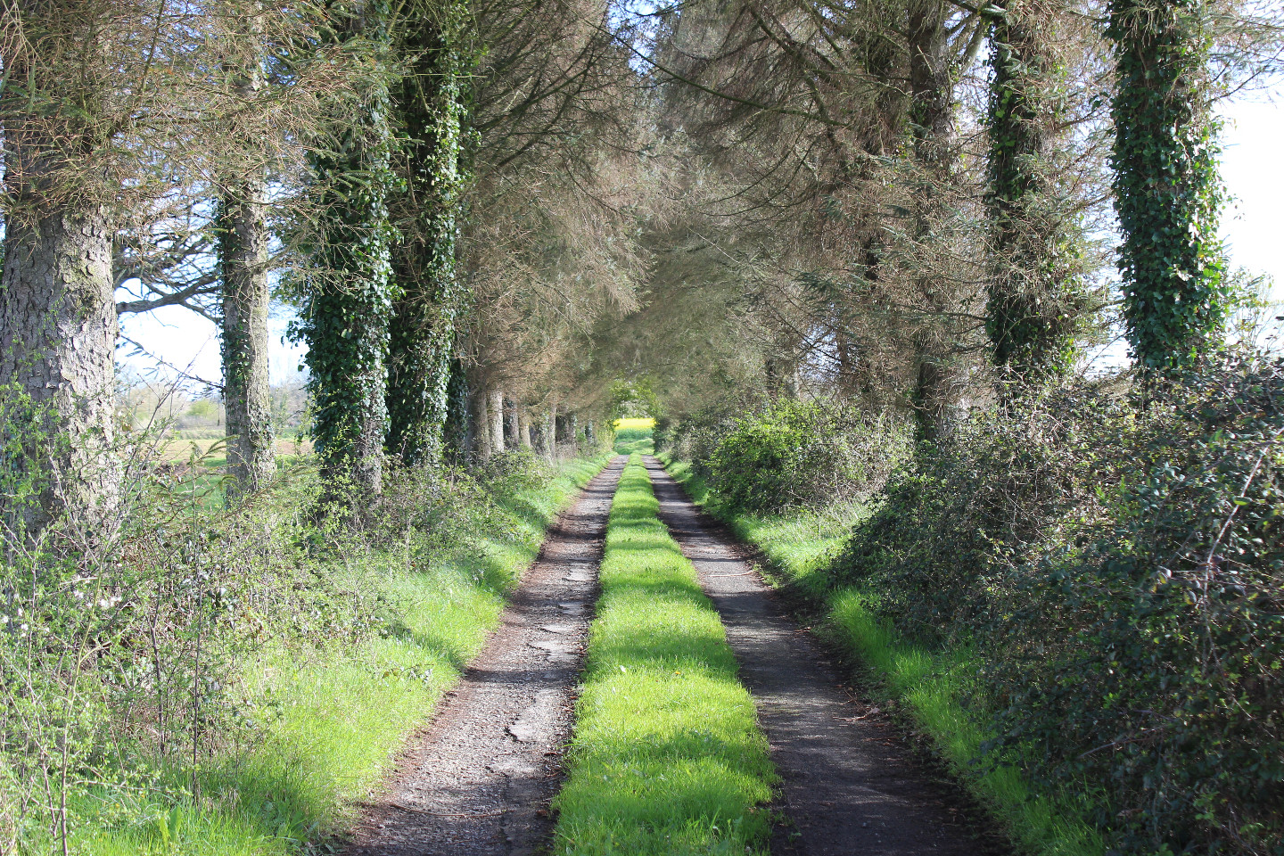  Manche À la campagne