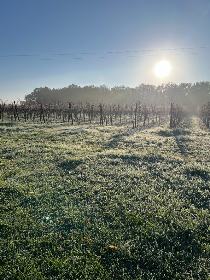  Charente Romantique