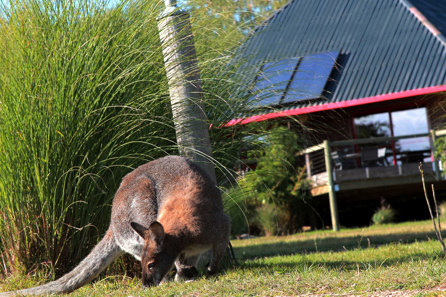 GreenGo Cerza safari lodge