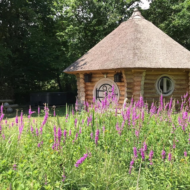 Logement insolite Indre-et-Loire À la campagne