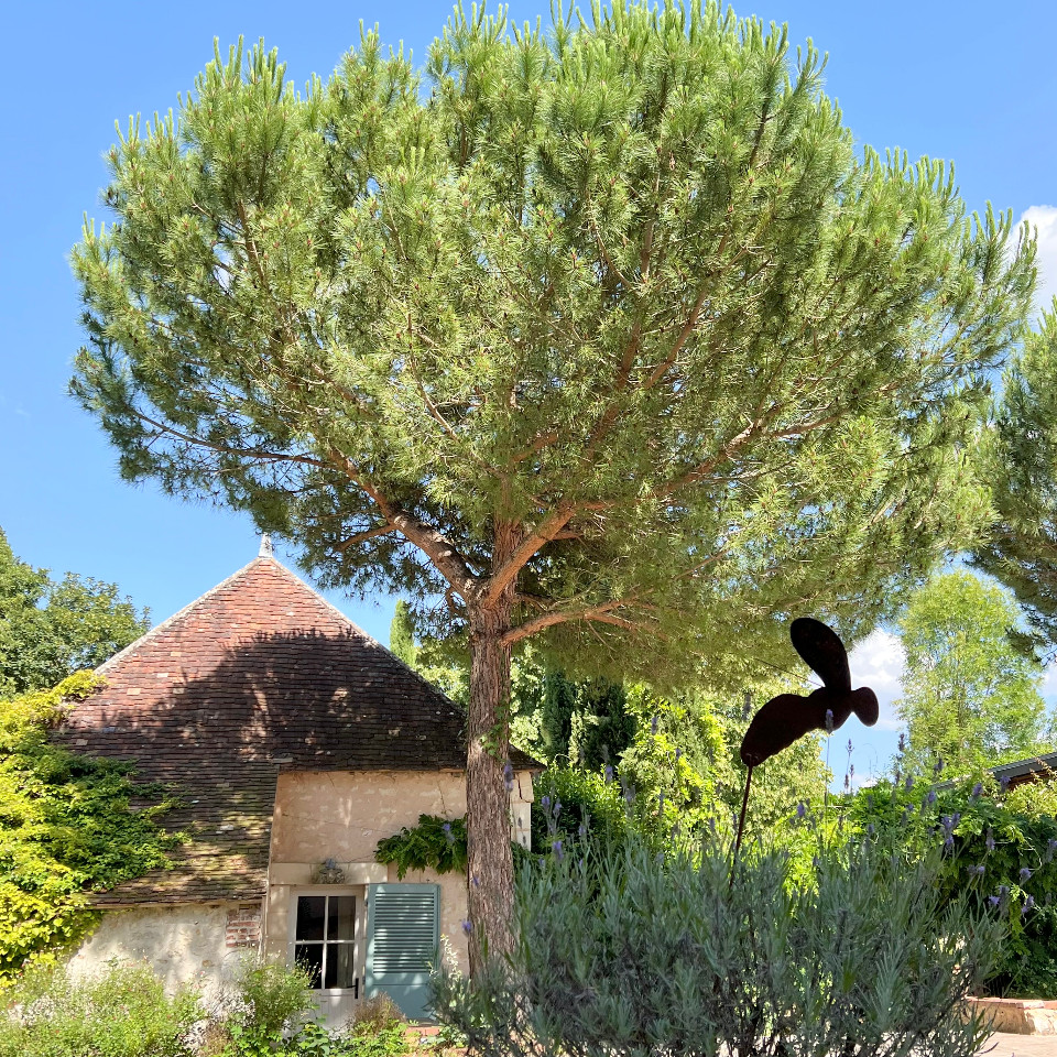 GreenGo location vacances écoresponsables