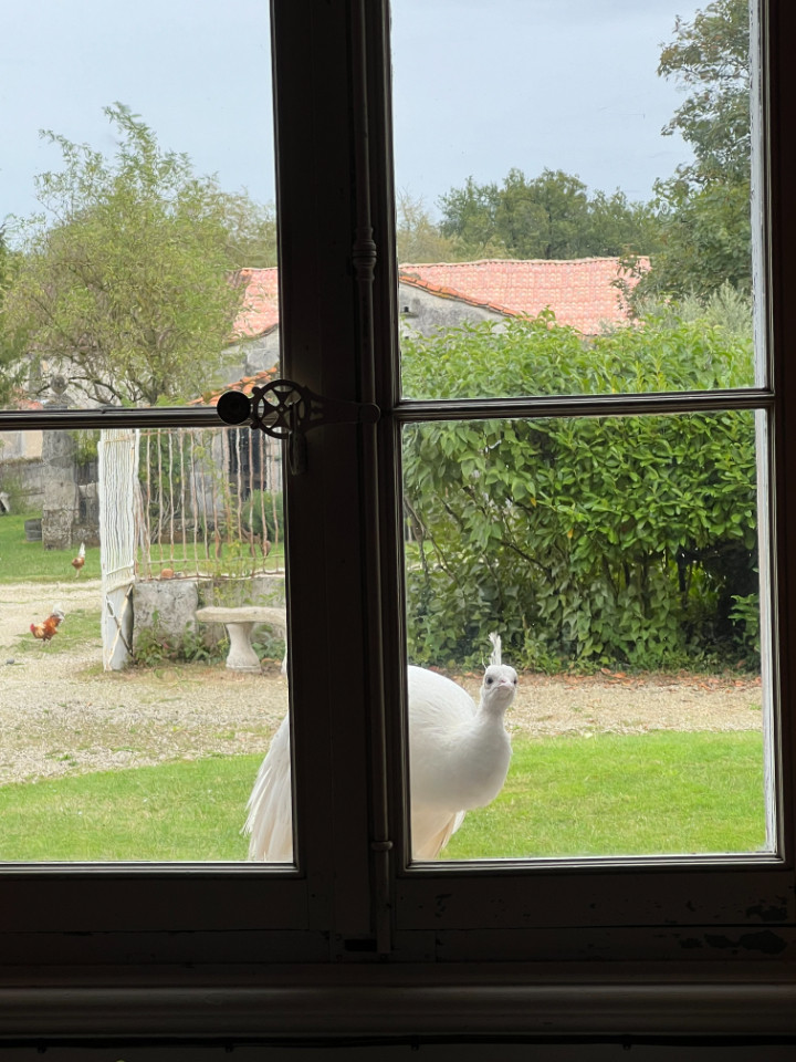  Charente Gîte de groupe