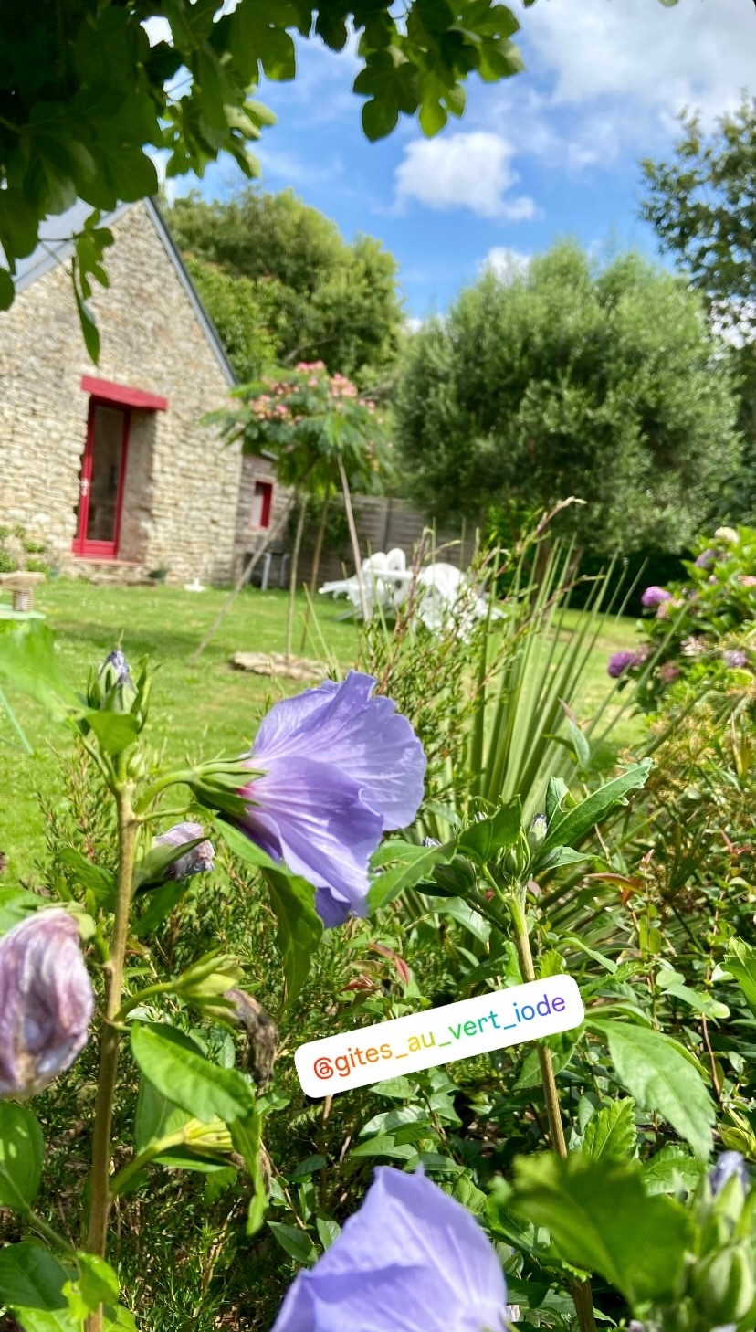 GreenGo location vacances écoresponsables