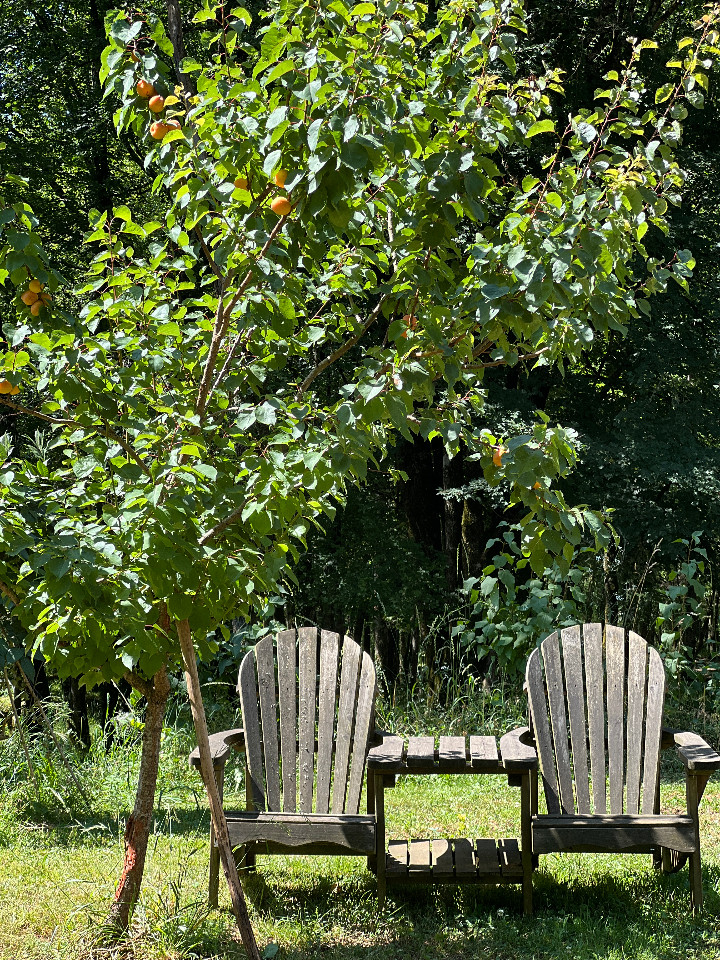 GreenGo Camping Aire Naturelle du Domaine de Mombret Haut