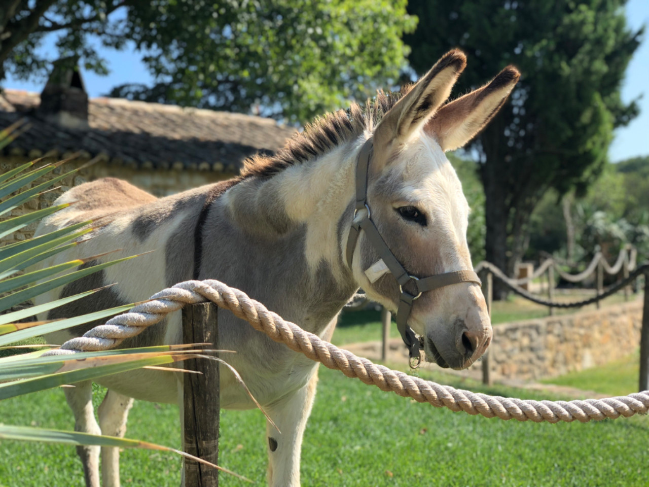 GreenGo Gîte Occitanie Évasion