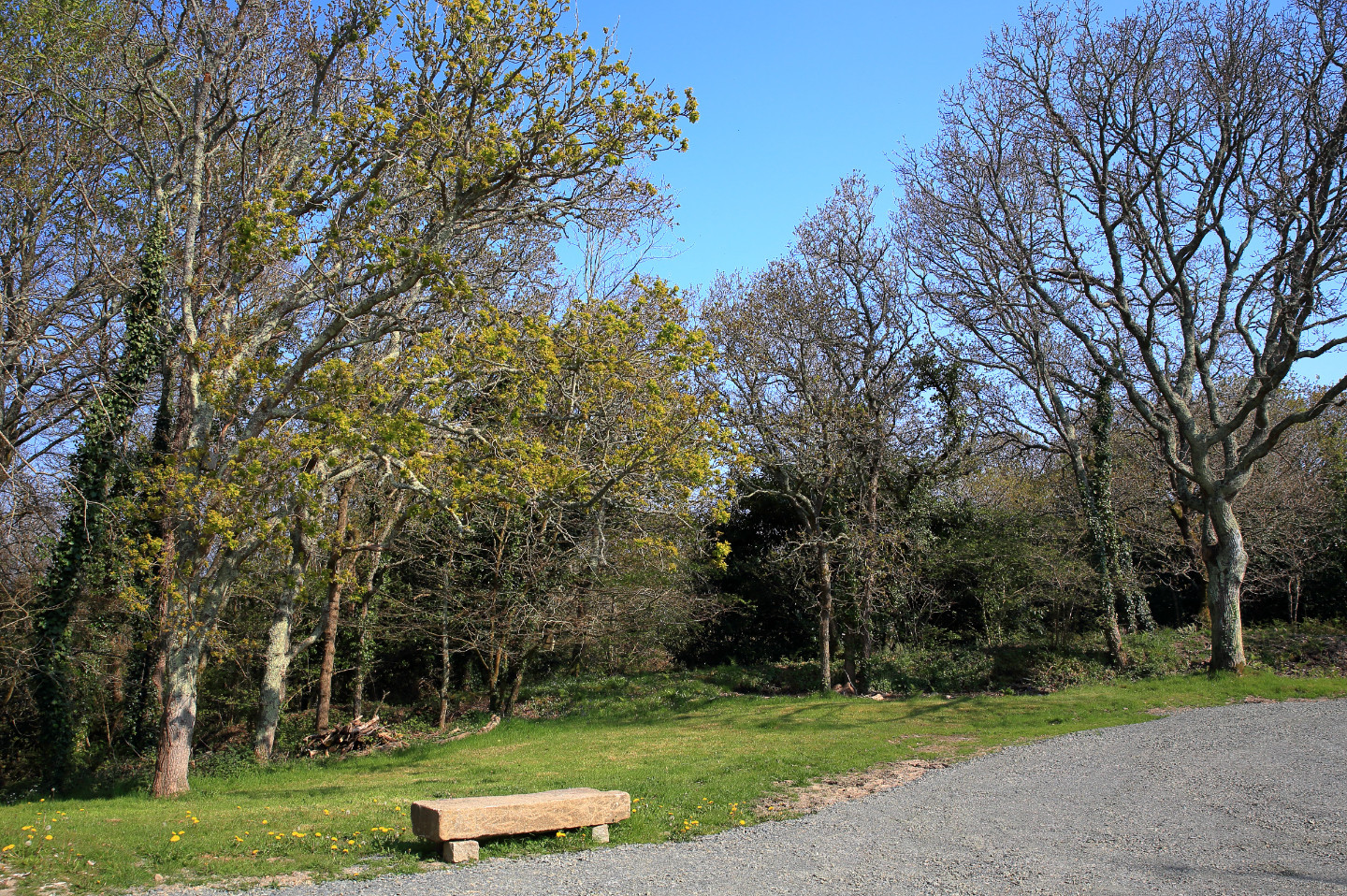 GreenGo location vacances écoresponsables