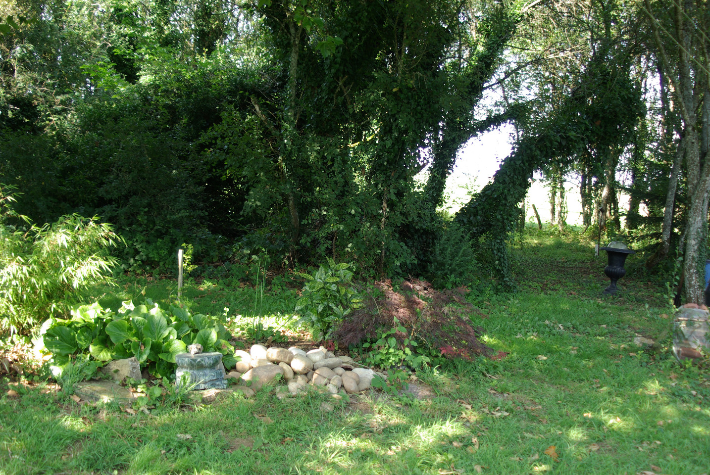  Haute-Marne Rustique