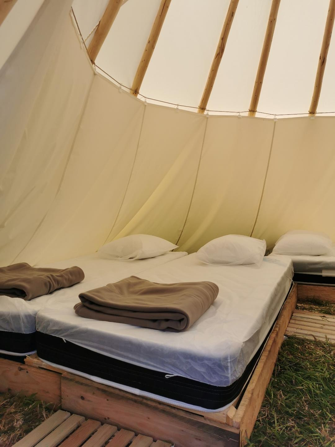 GreenGo Tipis Mohair de l'Erdre