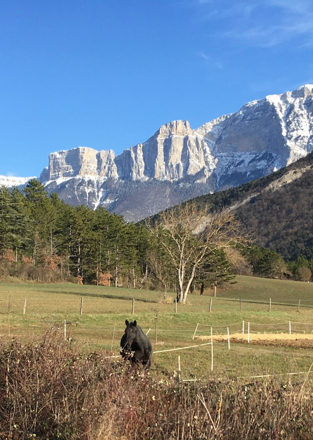 GreenGo Logement insolite Auvergne-Rhône-Alpes Évasion
