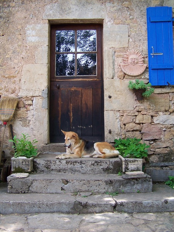 Location Aveyron À la campagne