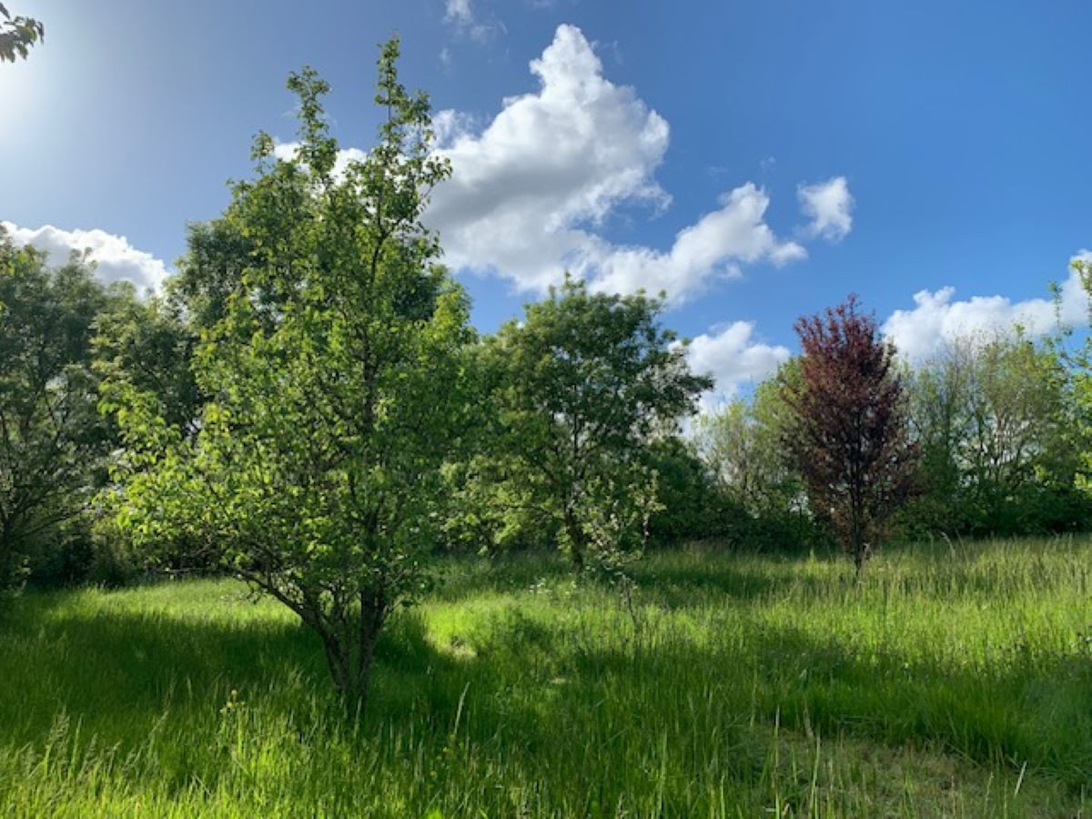 GreenGo Gîte Nouvelle-Aquitaine À la campagne