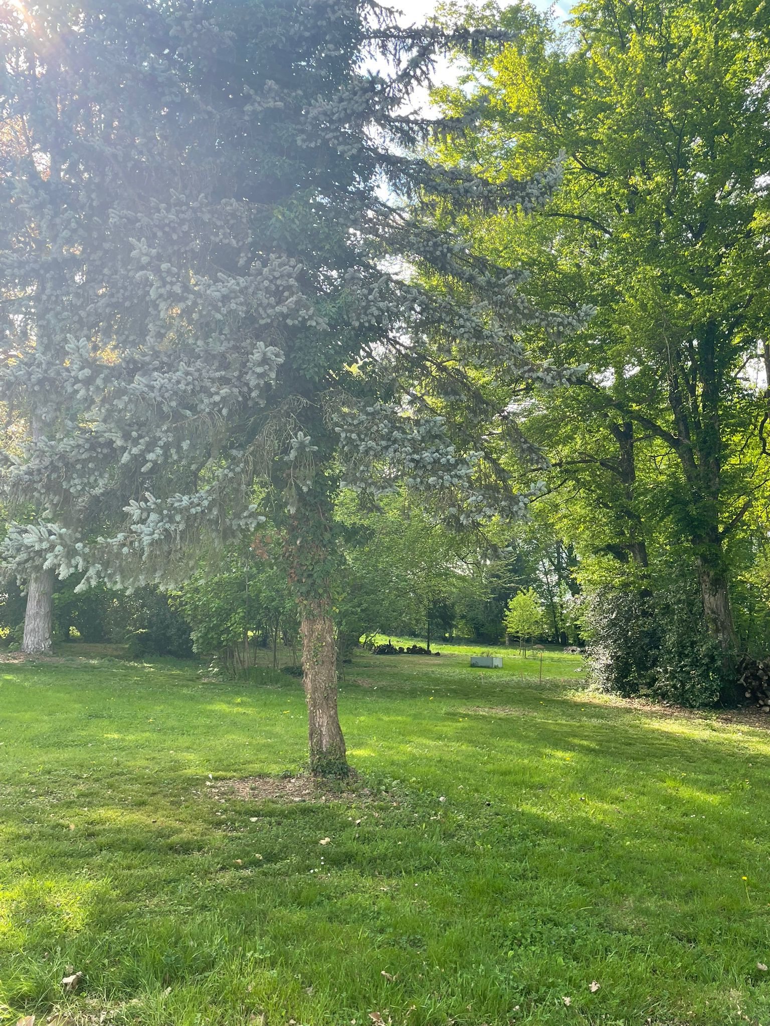 Ecolodge Isère En forêt